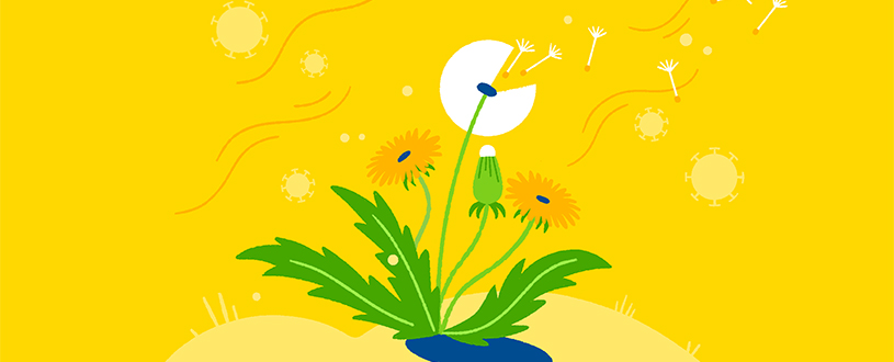 Plants that cause allegies