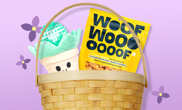 Easter basket of Woof Woof dog treats and a plant dog toy against a purple background with purple flowers