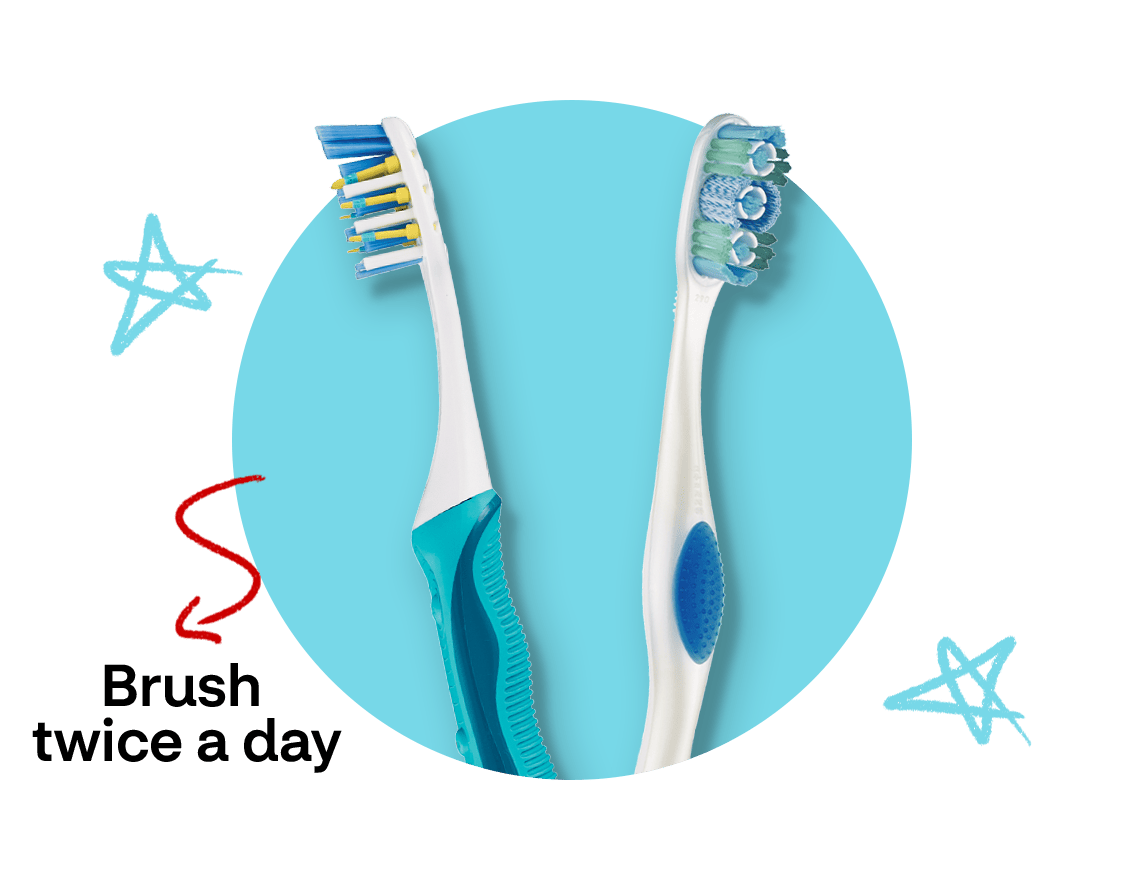 Brush twice a day, manual toothbrushes
